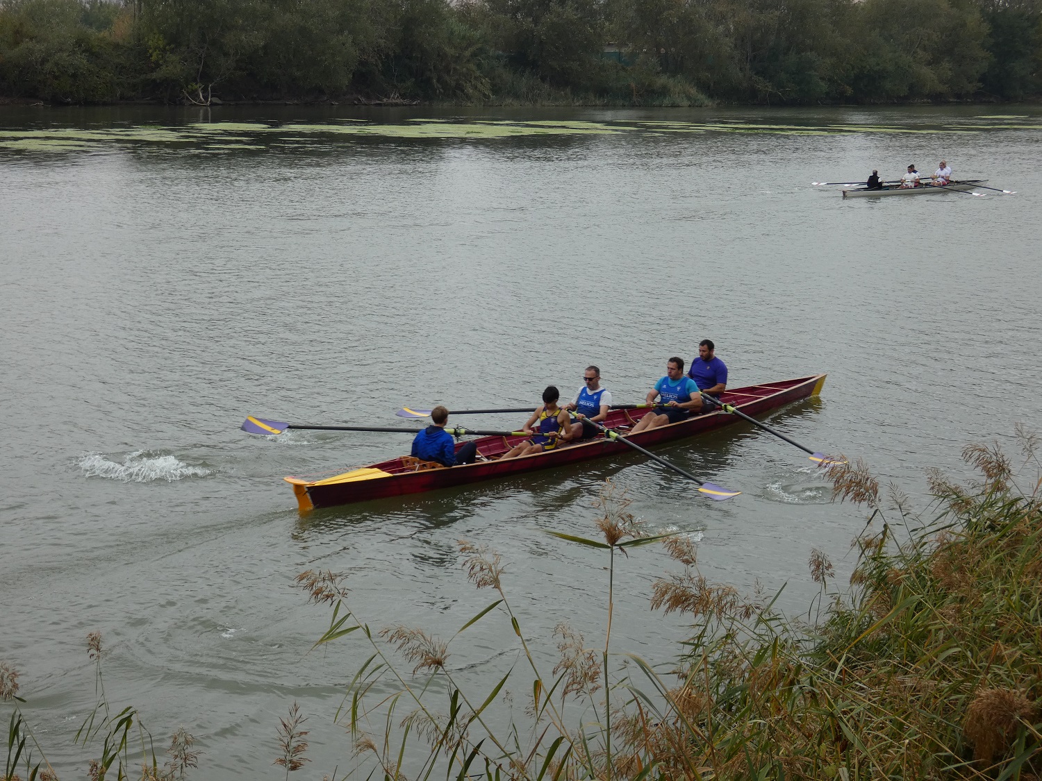 JDN Yolas y regata de promoción